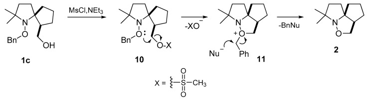 Scheme 5