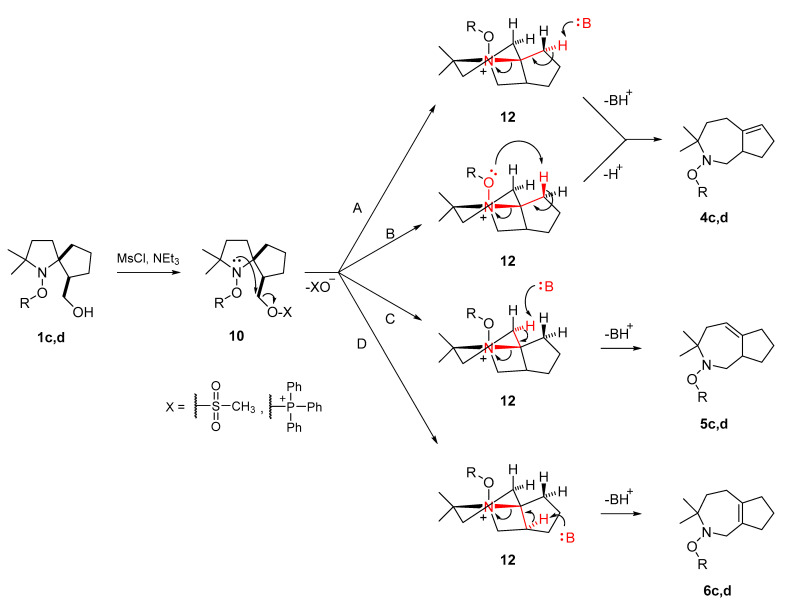 Scheme 6