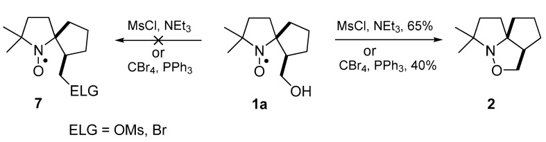 Scheme 2