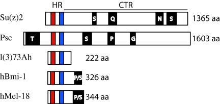 Figure 1.—