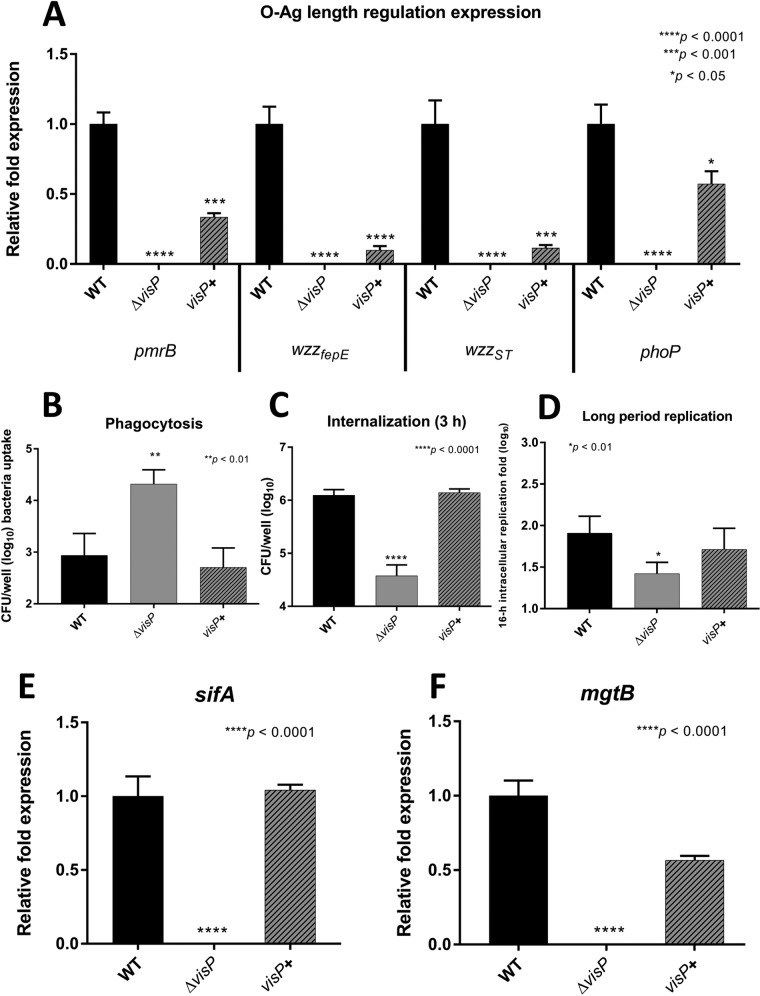 FIG 2