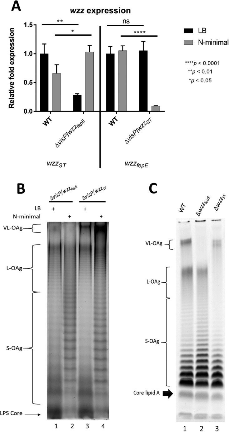 FIG 3