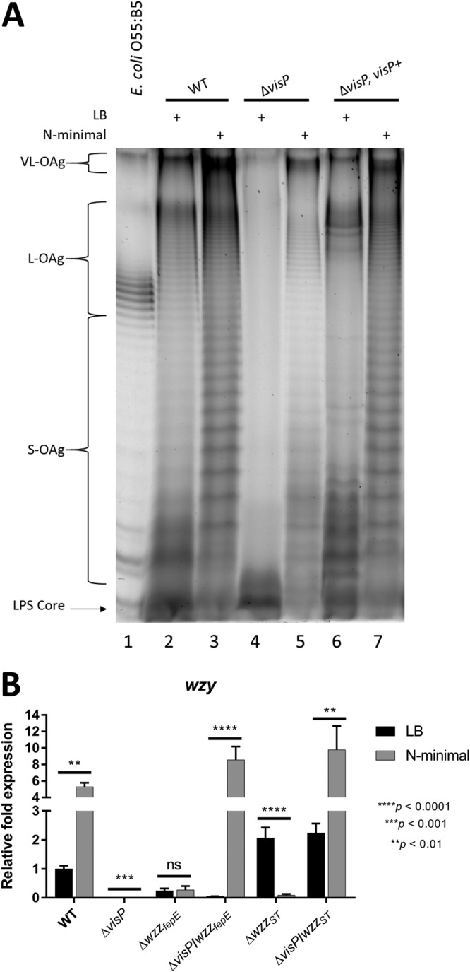 FIG 1