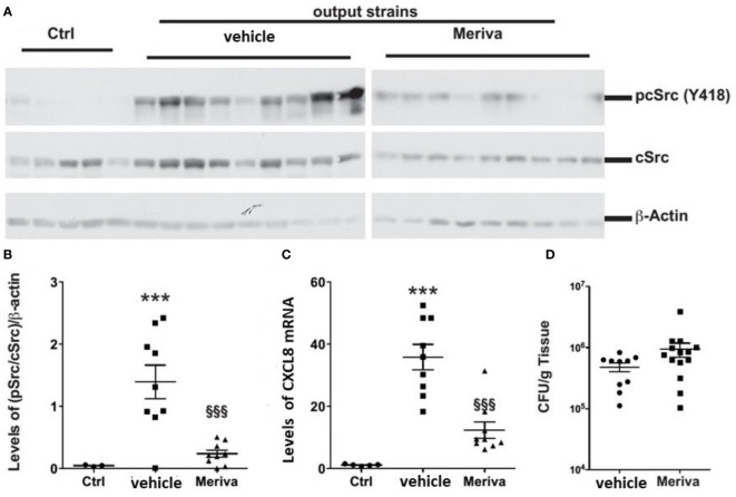 Figure 7