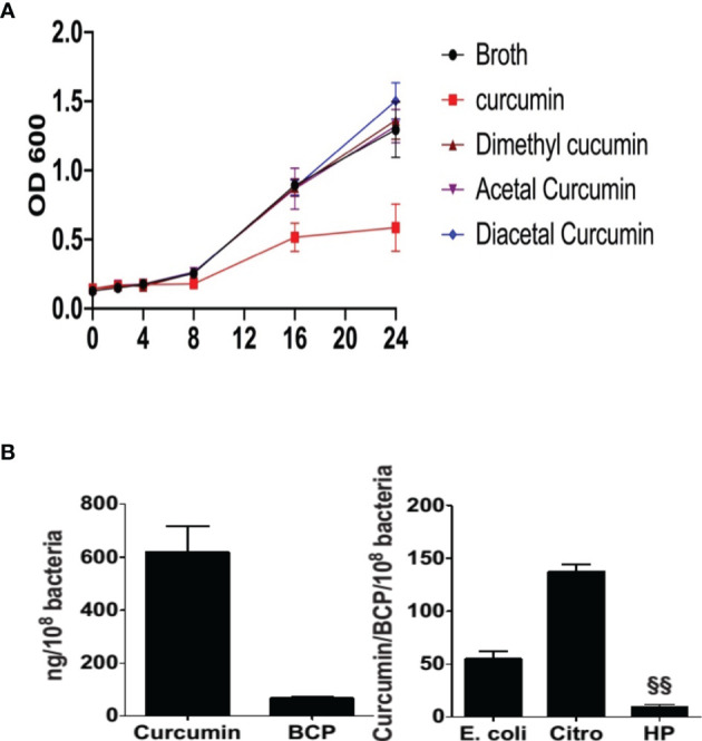 Figure 4