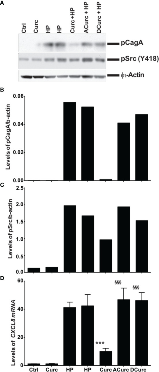 Figure 6