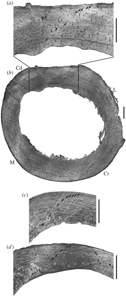 Figure 1.