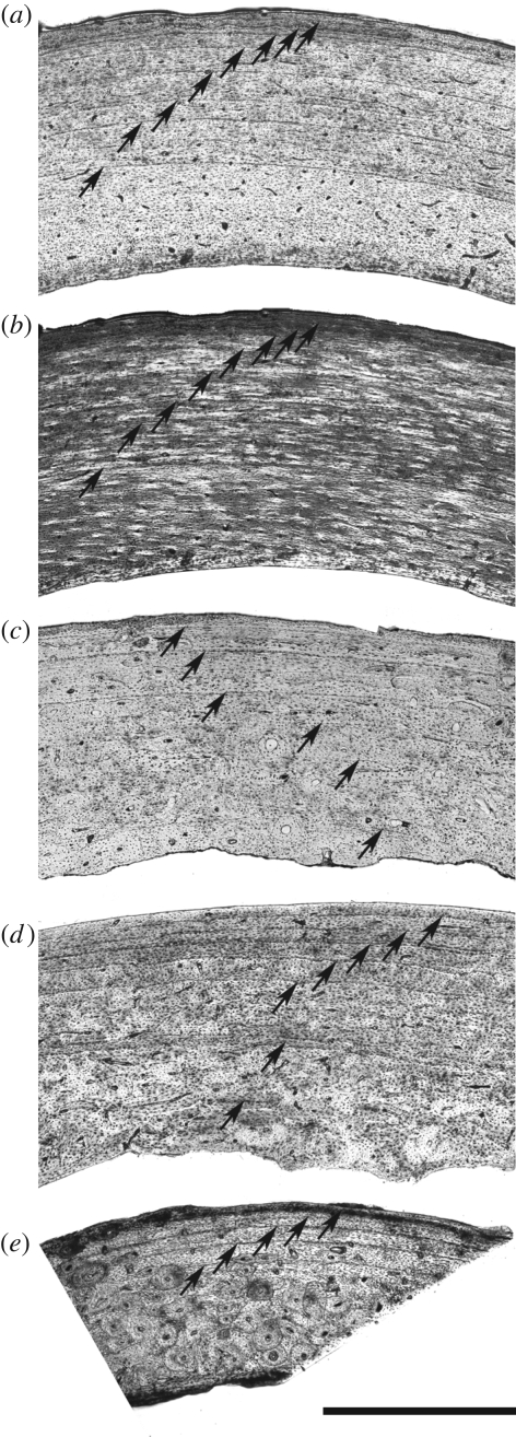 Figure 2.