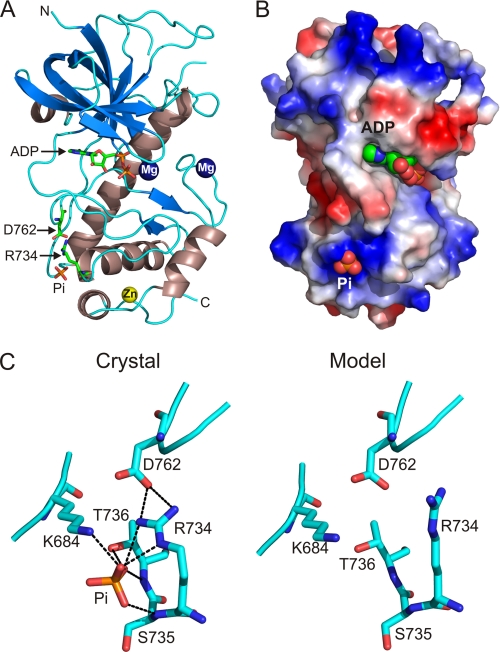 FIGURE 5.