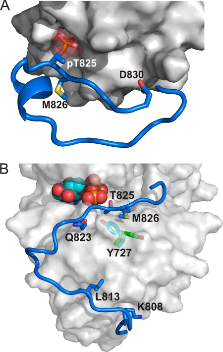 FIGURE 7.