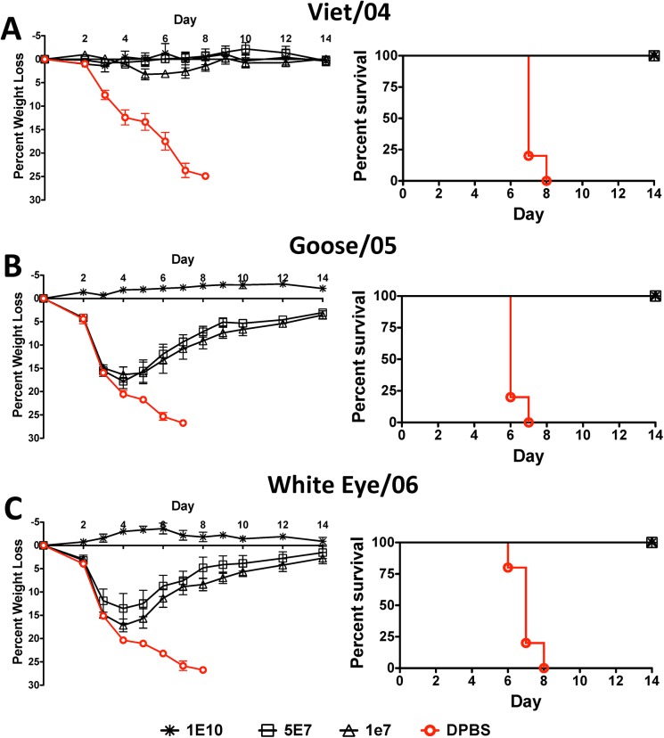 Fig 5