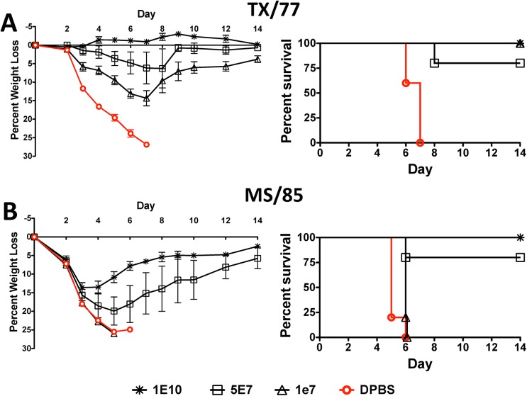 Fig 4