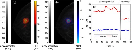 Fig. 8