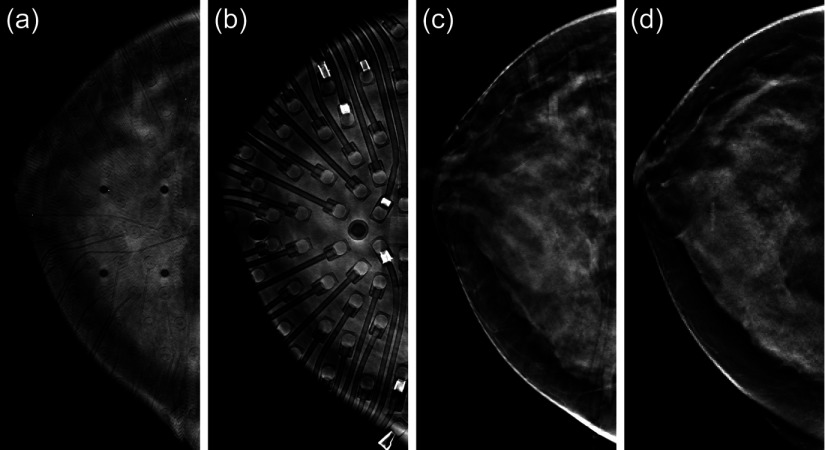 Fig. 5