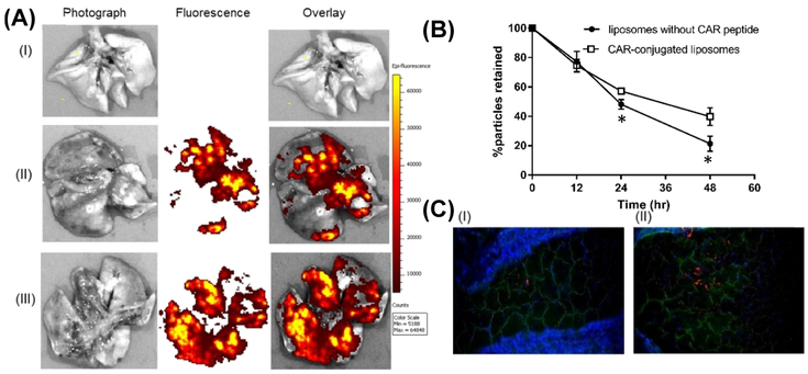 Figure 11.