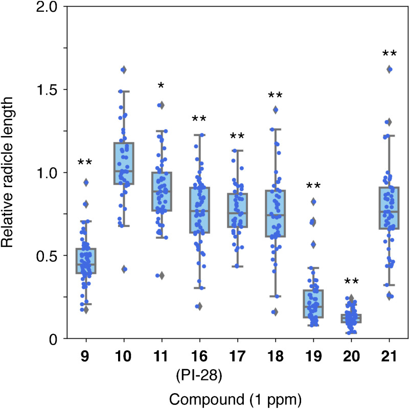 Fig. 4. The effect of the aryloxyacetylthioureas 9–11 and 16–21 at 1 ppm on the radicle elongation of O. minor at 9 DAT. The seeds were germinated with 1 ppm rac-GR24 with or without (control) the thioureas. Relative radicle lengths to the radicle lengths in the control in each treatment were shown as a boxplot. Significant differences were indicated an asterisk (p<0.05) or double asterisks (p<0.01) and were evaluated via the Student’s t-test, n=33–62.