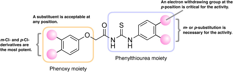 Fig. 6. Structure–activity relationship of aryloxyacetylthioureas for the inhibitory effect on radicle elongation of O. minor germinating seeds. On the benzene ring in the phenoxy moiety, any substitution at any position was acceptable for the activity. Cl-substitution at the m- or p- position had the most potent inhibitory effect. On the benzene ring in the phenylthiourea moiety, a substitution at the m- or p- position was essential for the activity. Specifically, an electron-withdrawing group at the p-position was critical for the activity.