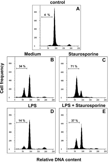 FIG. 1.