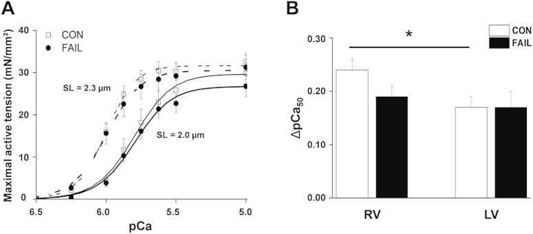 Fig. 7