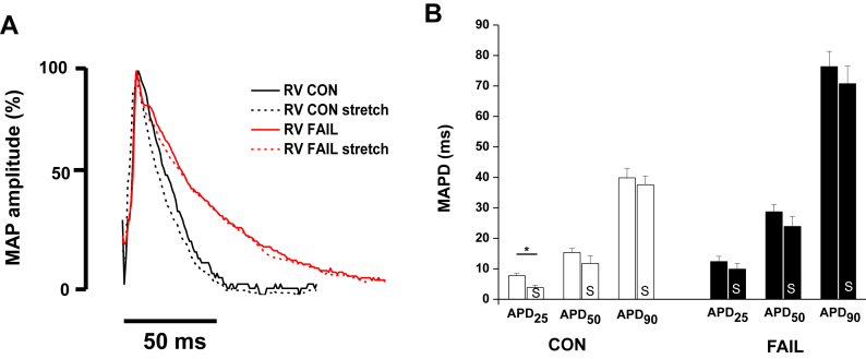 Fig. 9