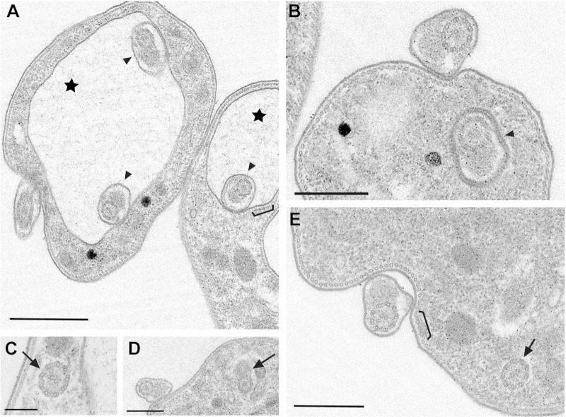 FIG 3