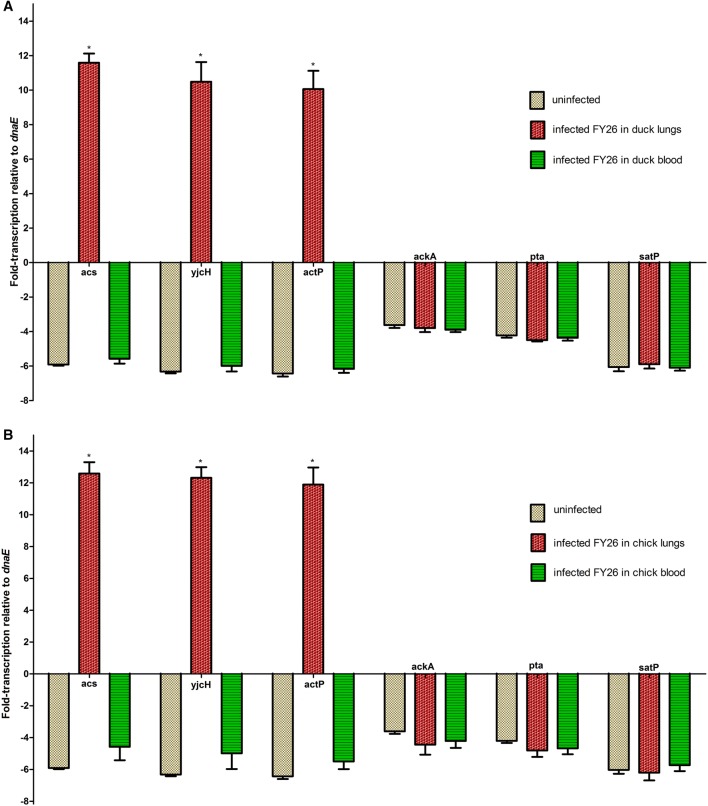 Figure 6