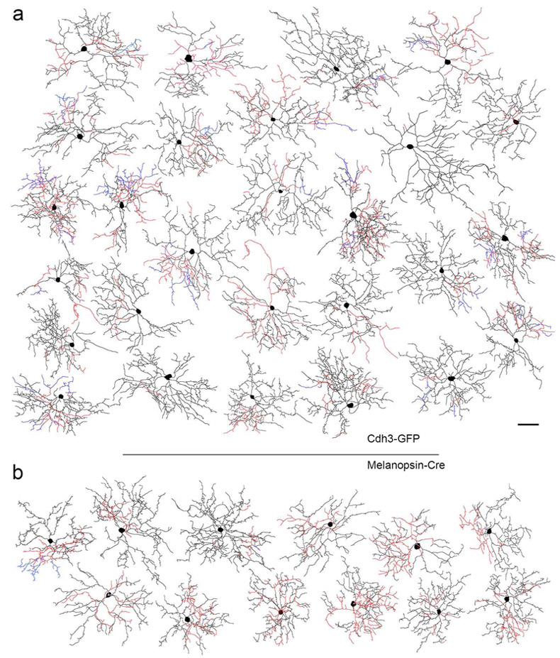 Figure 3.