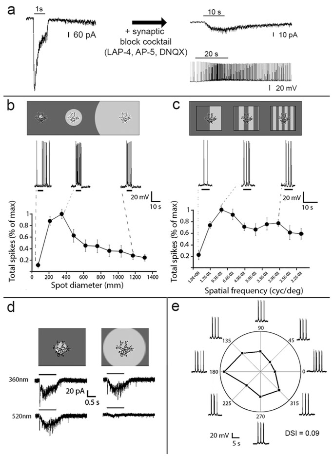 Figure 6.