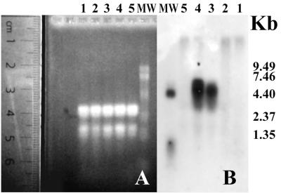 FIG. 4