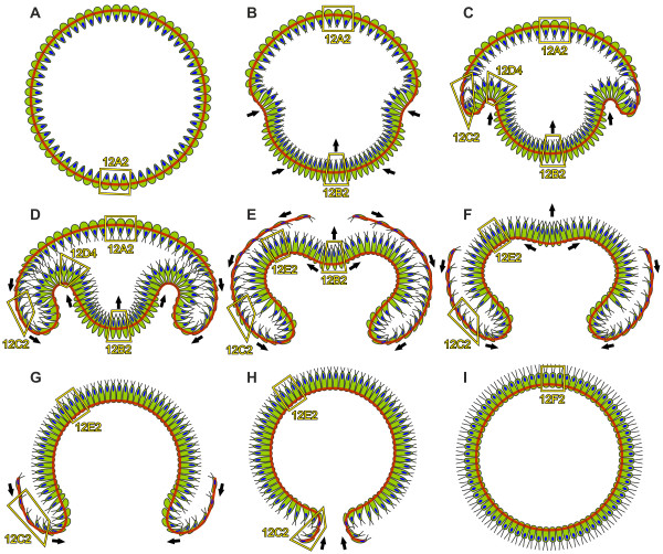 Figure 13