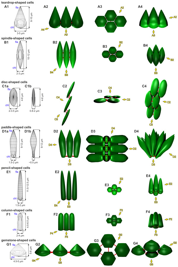 Figure 12