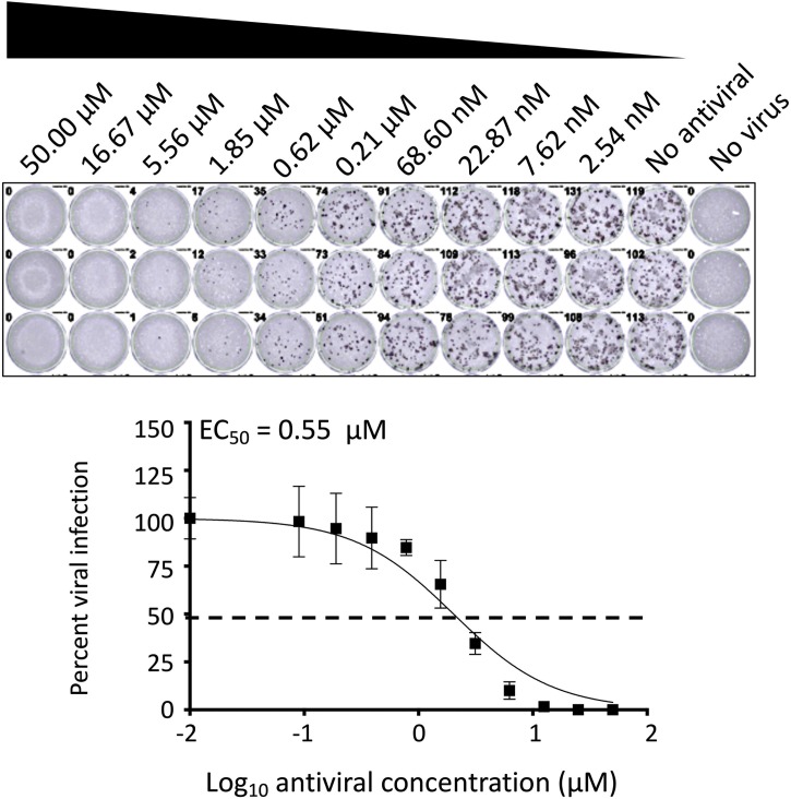 Fig. 4