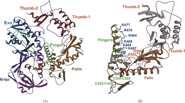 Figure 10. 