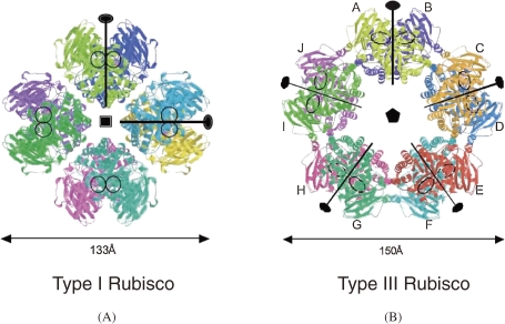 Figure 9. 