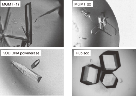 Figure 6. 