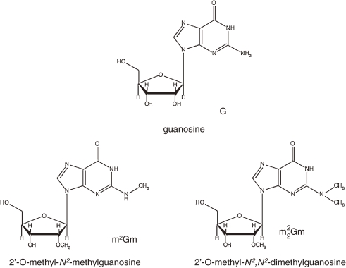 Figure 14. 