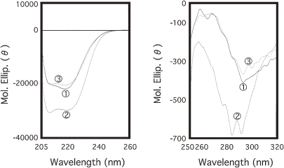 Figure 11. 