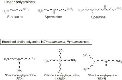 Figure 15. 