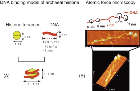 Figure 13. 