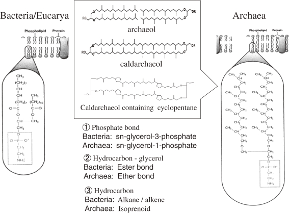 Figure 17. 