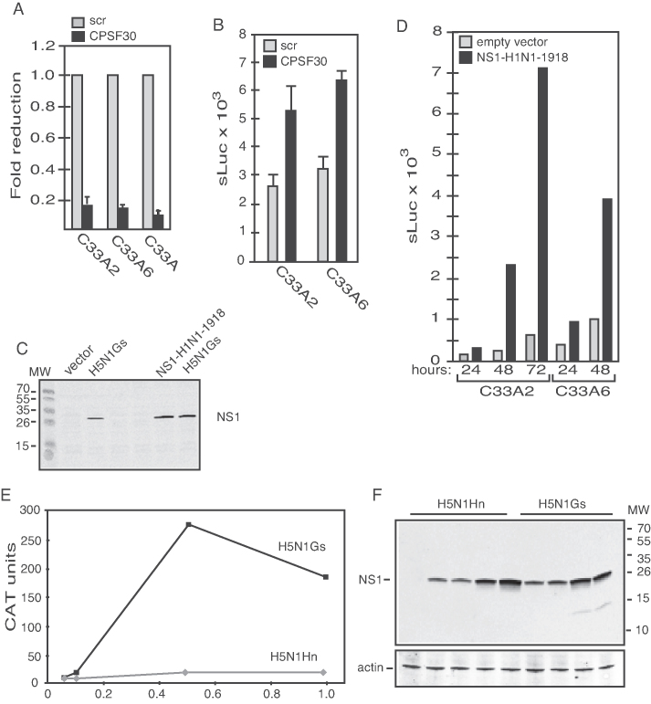 Figure 10.