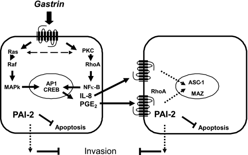 Fig. 7.