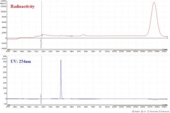 Fig. 10