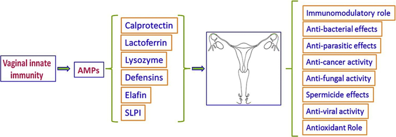 Fig. 1