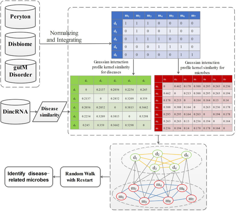 FIGURE 2