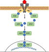Fig. 3.