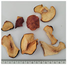 graphic file with name plants-14-00168-i005.jpg