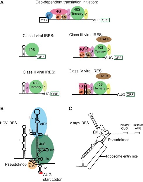 figure image