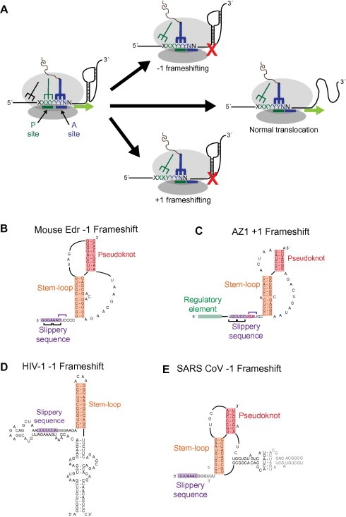 figure image