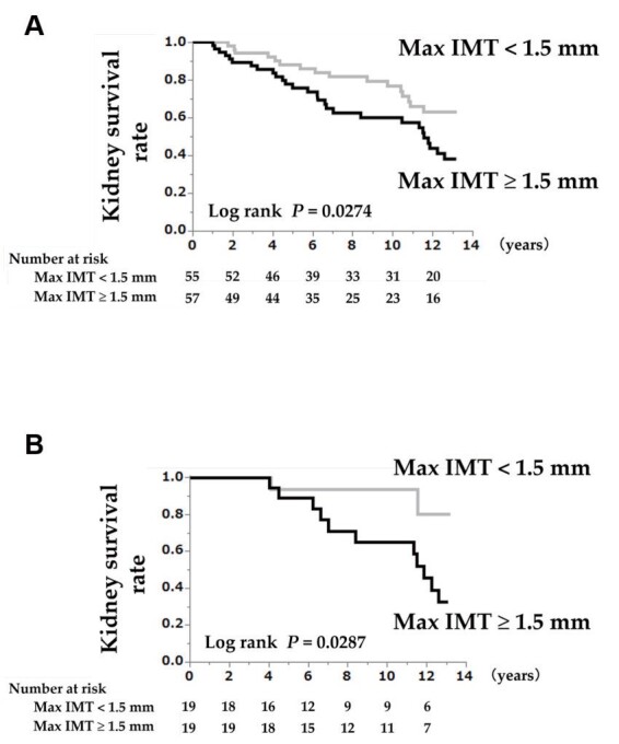 Fig. 2.
Kidney survival rates, with an eGFR decline ≥ 30% or ESRD as the endpoint
